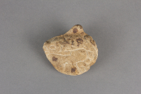 Tlingit%20artist%2C%20%3Cb%3E%3Ci%3E%20Killer%20Whale%20Charm%3C%2Fi%3E%3C%2Fb%3E%2C%20pre-contact%2C%20sandstone%2C%20Museum%20Purchase%3A%20Indian%20Collection%20Subscription%20Fund%2C%20Rasmussen%20Collection%20of%20Northwest%20Coast%20Indian%20Art%2C%20no%20known%20copyright%20restrictions%2C%2048.3.151